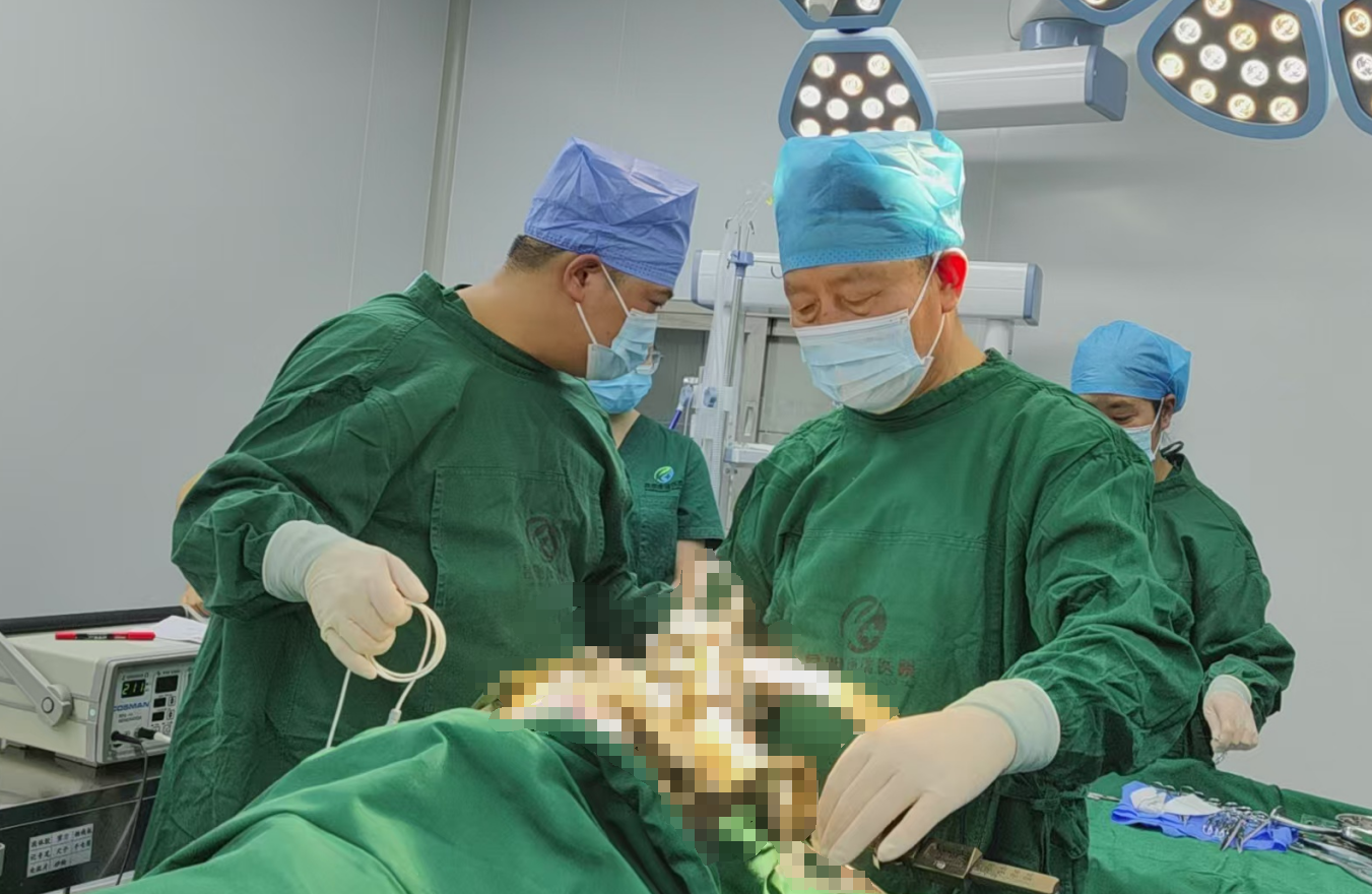 微信图片_20250315134428